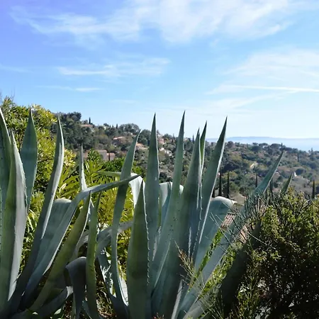 Superbe 2p Avec Mezzanine, Vue Mer, Jardin, Terrasse, Piscine, Parking, Proche Plage. - Fr-1-251-566 *